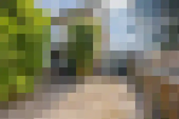 Mandarijnstraat 2 Nijmegen thumbnail 43