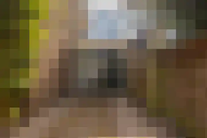 Mandarijnstraat 2 Nijmegen thumbnail 44