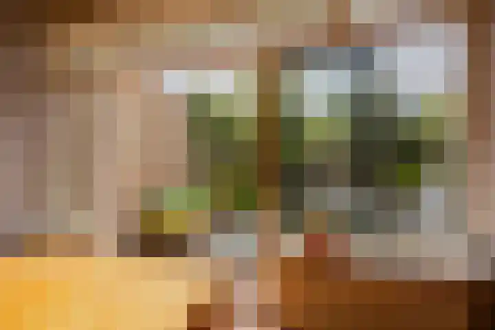 Mandarijnstraat 2 Nijmegen thumbnail 5