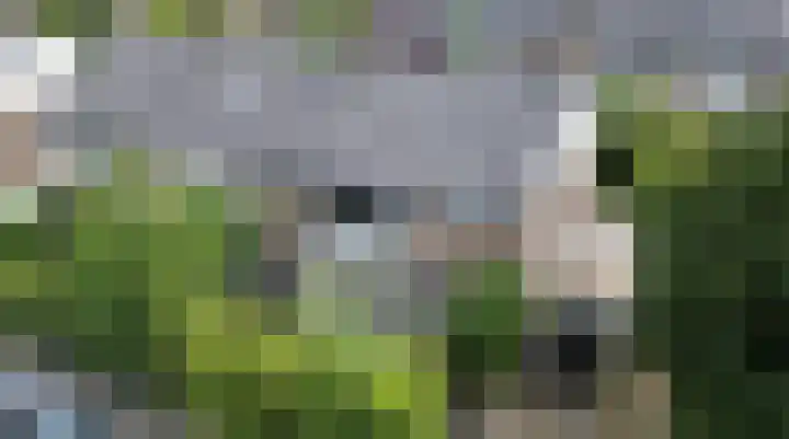 Mandarijnstraat 2 Nijmegen thumbnail 53