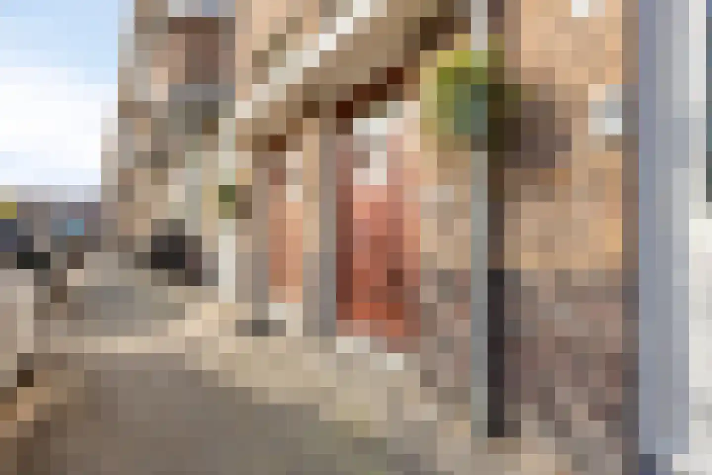 Mandarijnstraat 28 Den Haag thumbnail 30