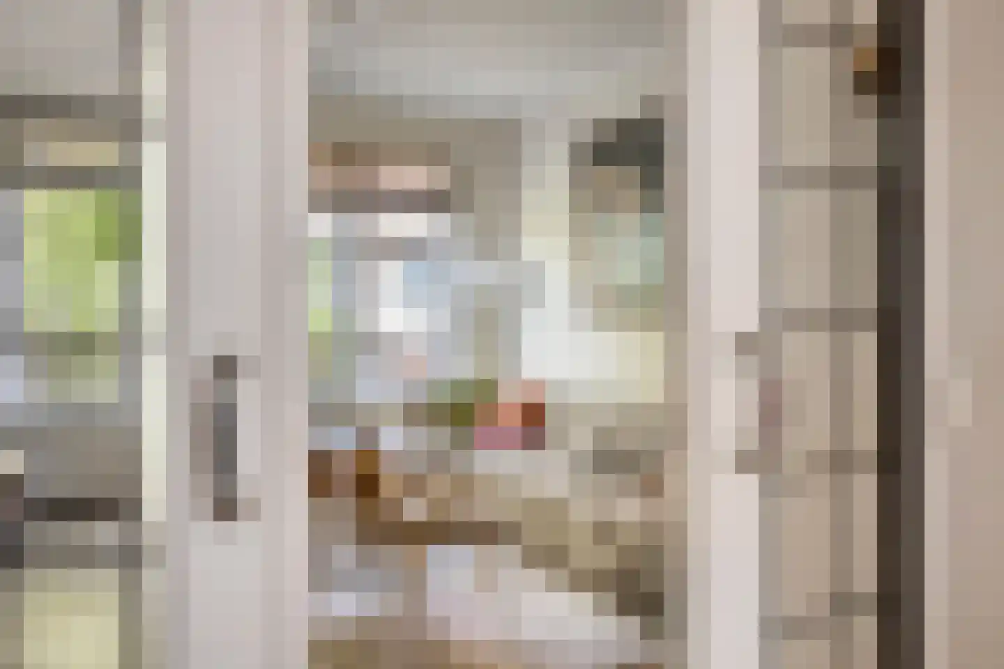 Mandarijnstraat 3 Den Haag thumbnail 10