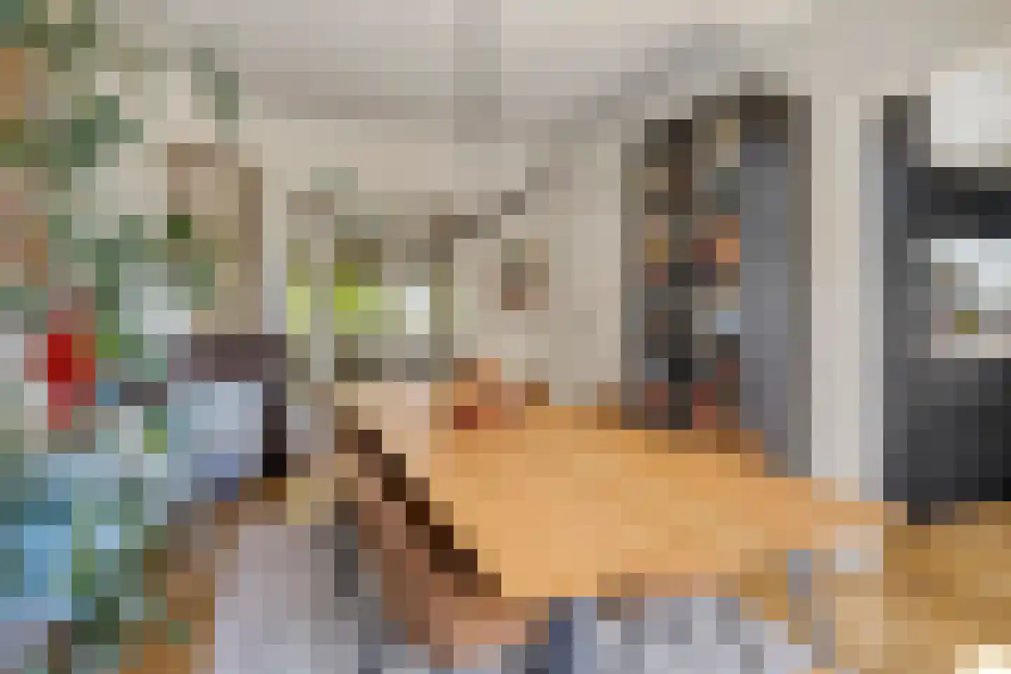 Mandarijnstraat 3 Den Haag thumbnail 4