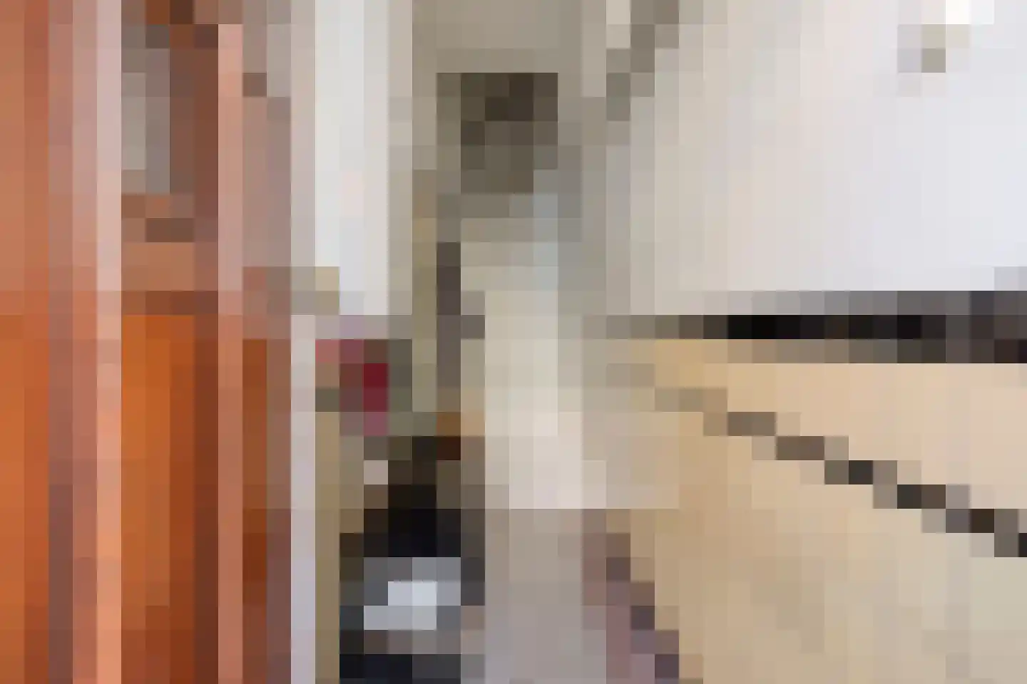 Mandarijnstraat 3 Den Haag thumbnail 6