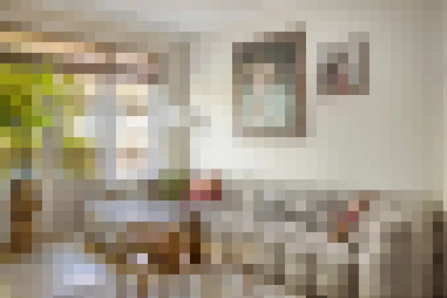 Mandarijnstraat 3 Den Haag thumbnail 8