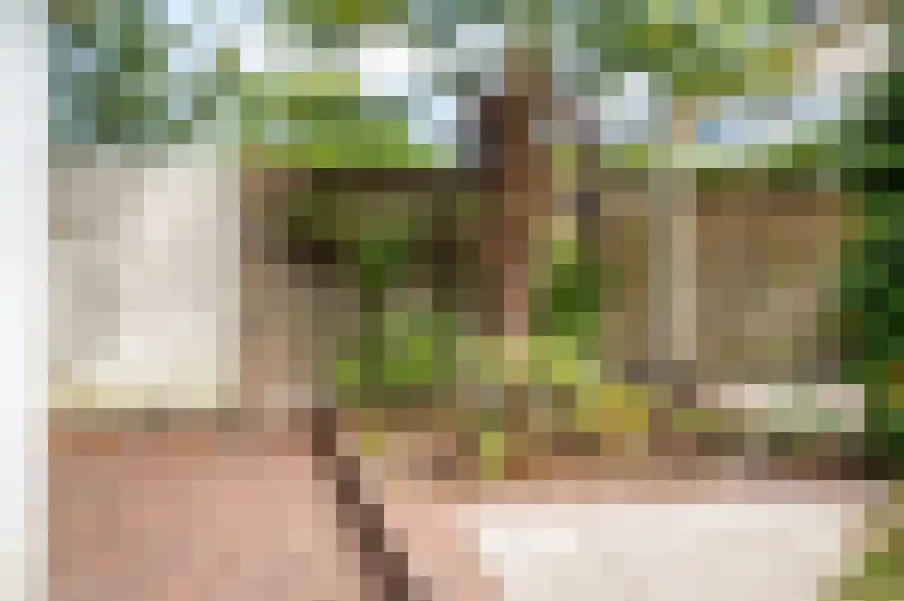 Mandarijnstraat 3 Nijmegen thumbnail 44