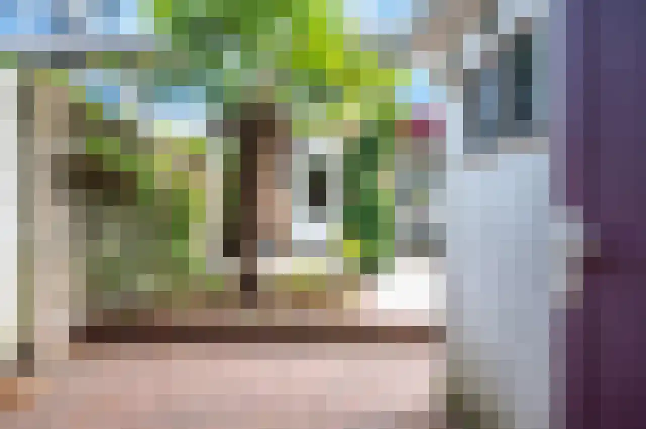 Mandarijnstraat 3 Nijmegen thumbnail 47