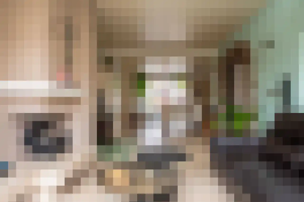 Mandarijnstraat 3 Nijmegen thumbnail 8