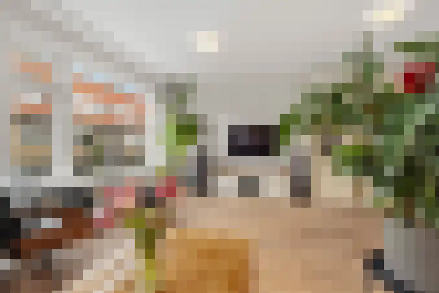 Mandarijnstraat 5 Den Haag thumbnail 15