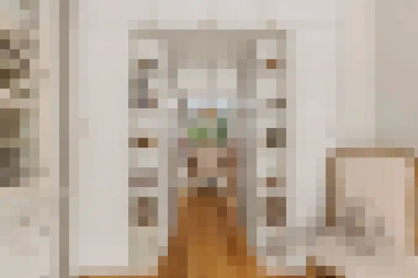 Mandarijnstraat 5 Den Haag thumbnail 18