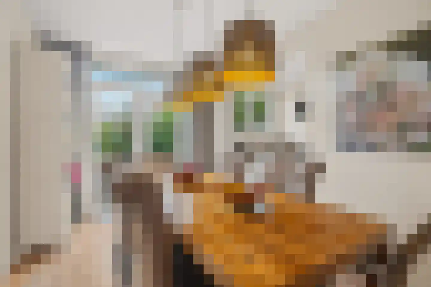 Mandarijnstraat 5 Den Haag thumbnail 21