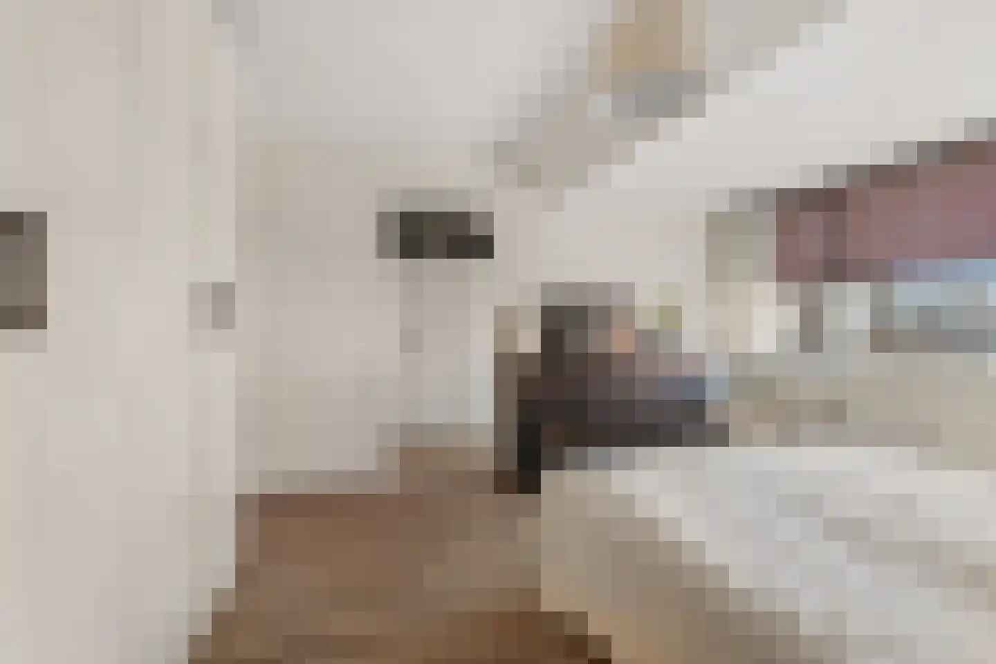 Mandarijnstraat 5 Den Haag thumbnail 42