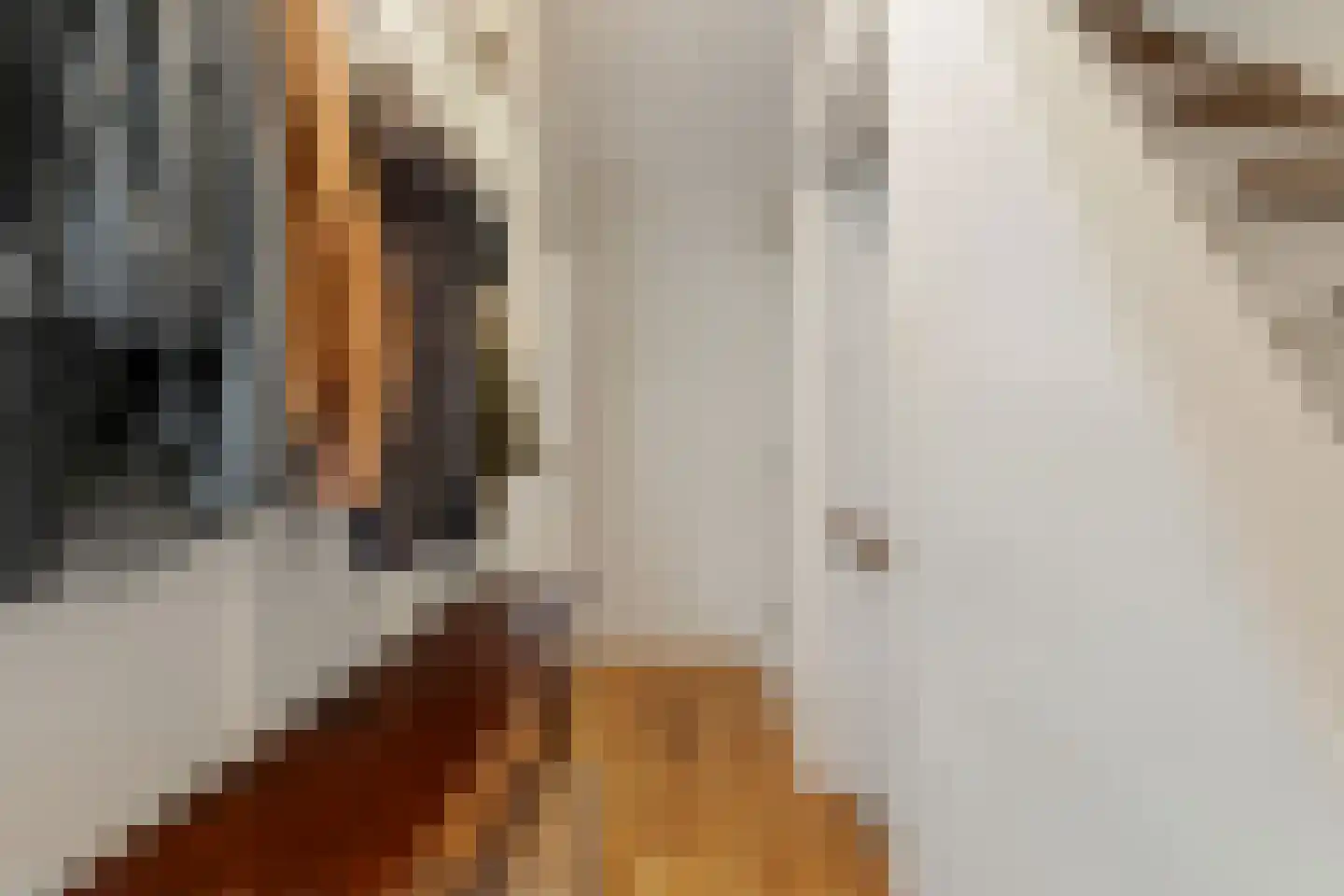 Mandarijnstraat 5 Den Haag thumbnail 9