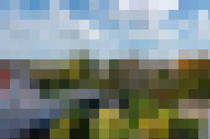 Mandarijnstraat 55 Almere thumbnail 37
