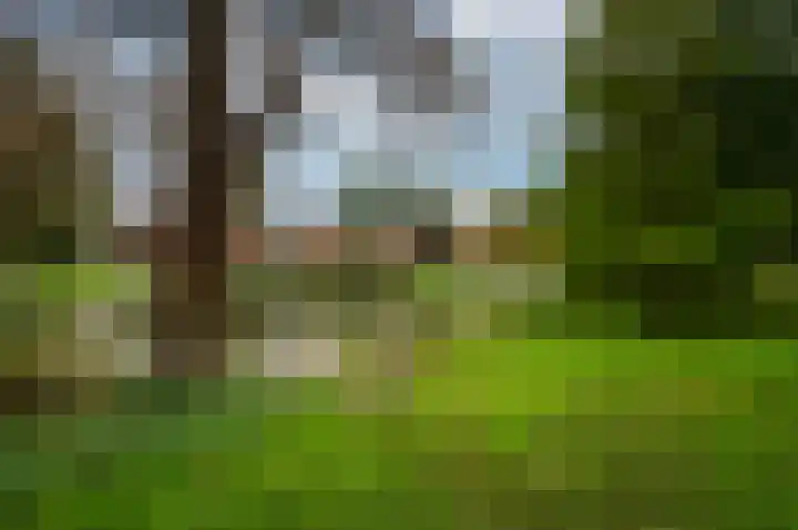 Mandarijnstraat 55 Almere thumbnail 43