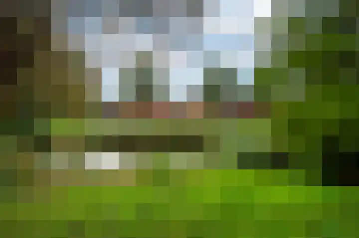 Mandarijnstraat 55 Almere thumbnail 44