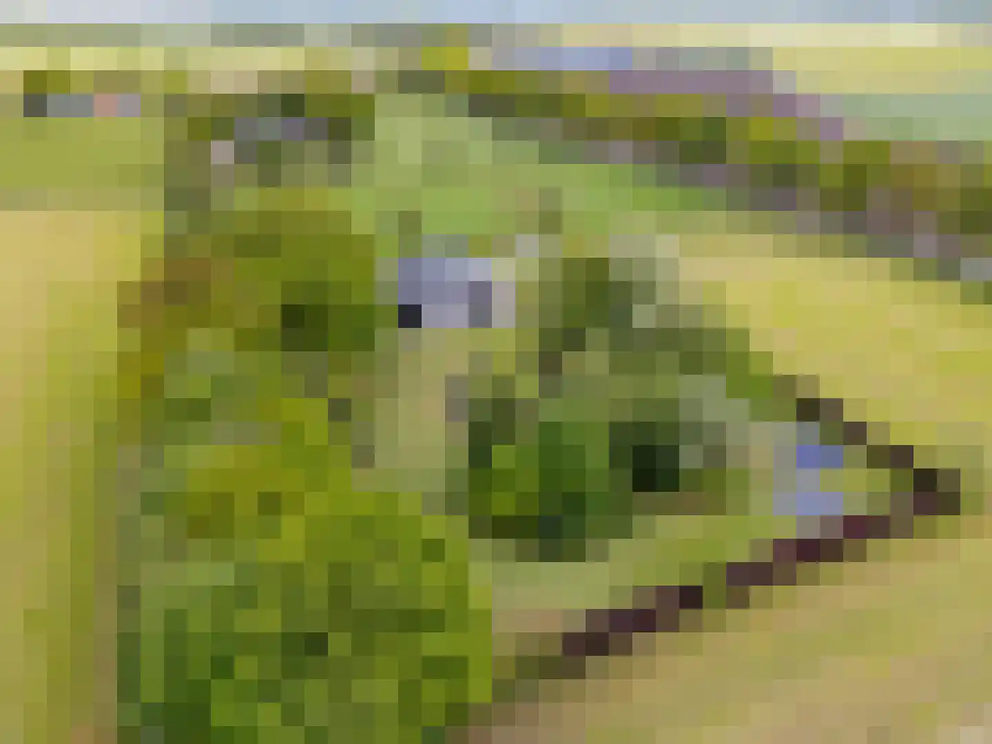 Mandefjild 2 Bakkeveen thumbnail 100