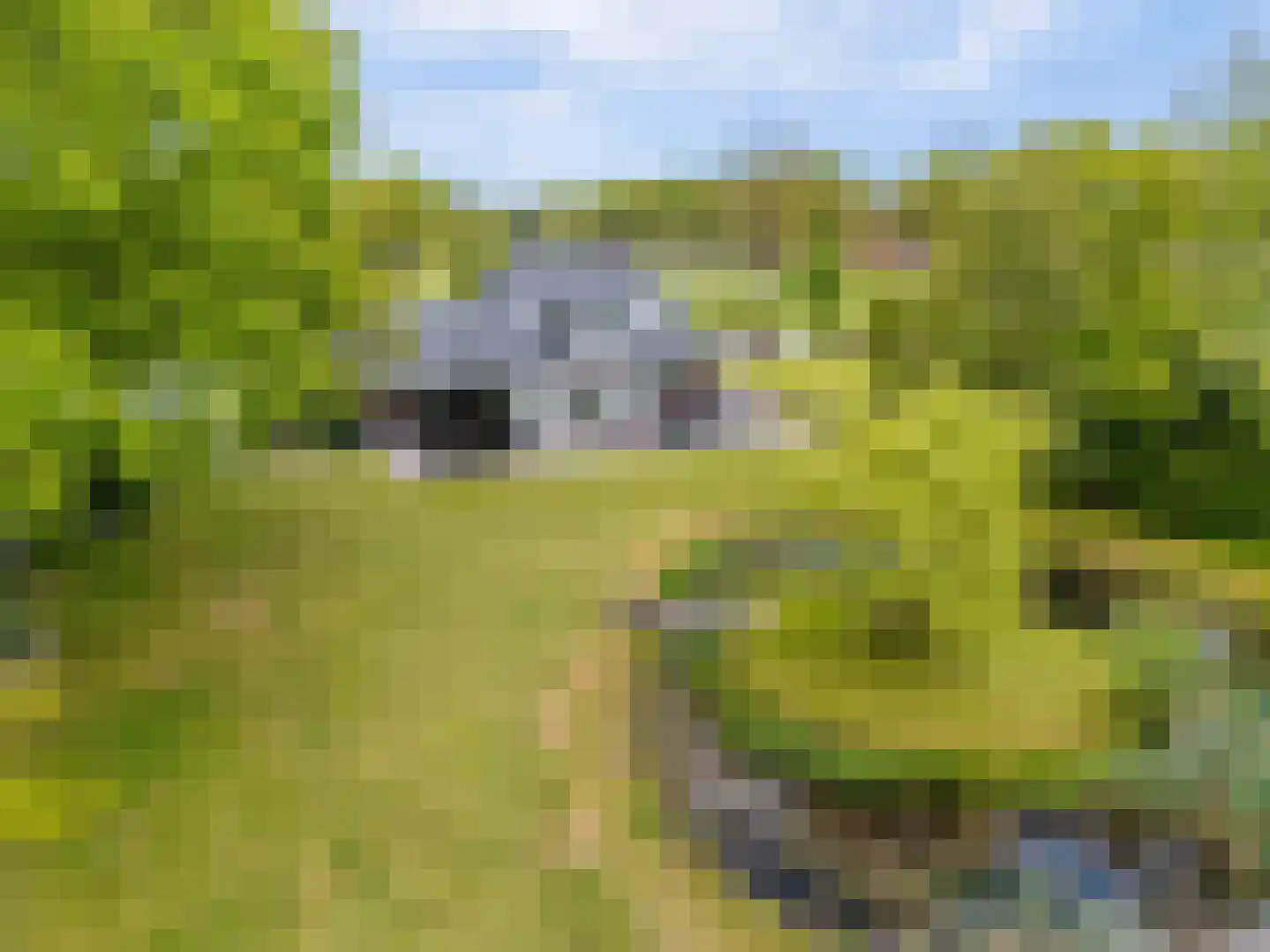 Mandefjild 2 Bakkeveen thumbnail 101