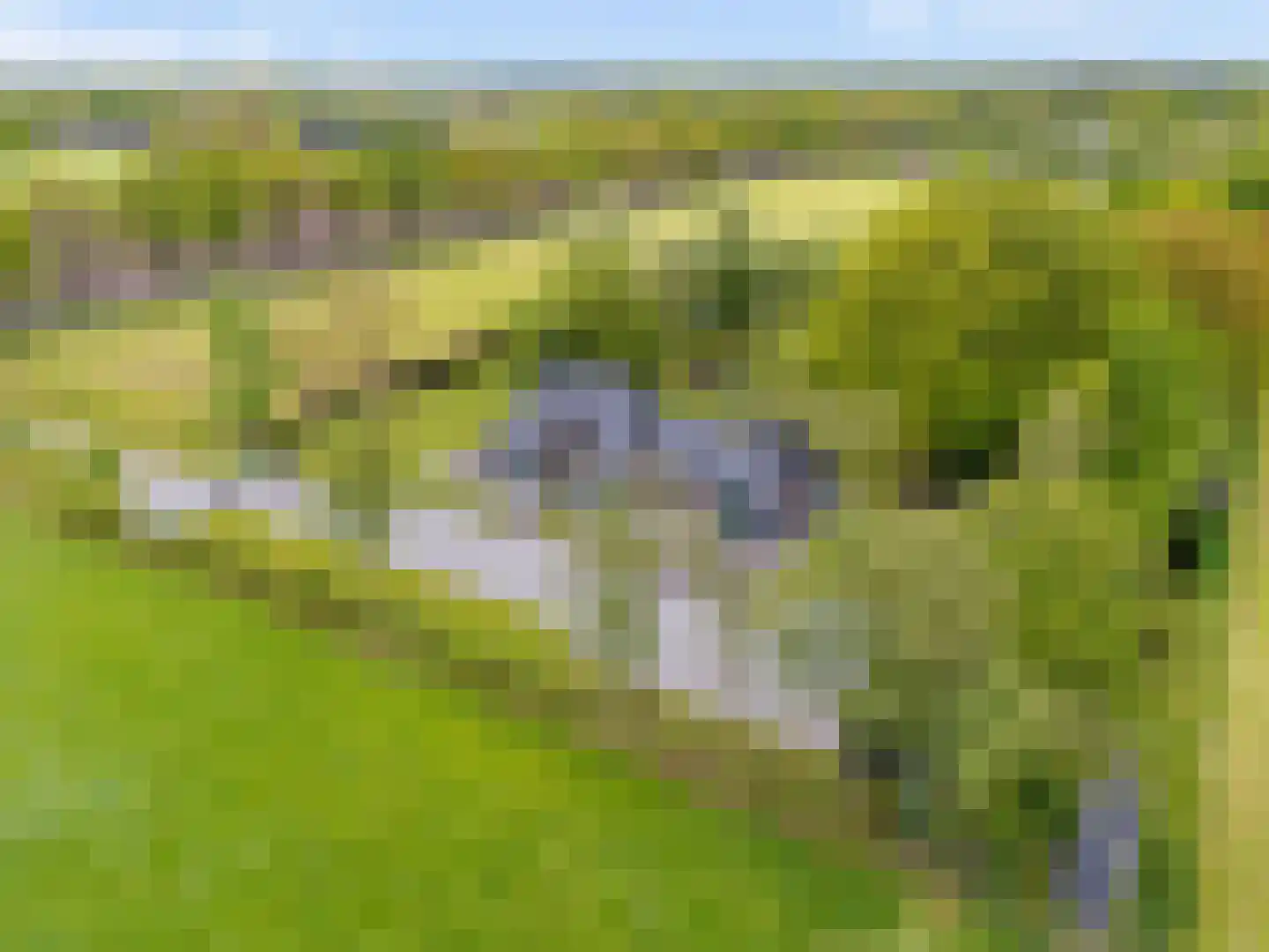 Mandefjild 2 Bakkeveen thumbnail 102