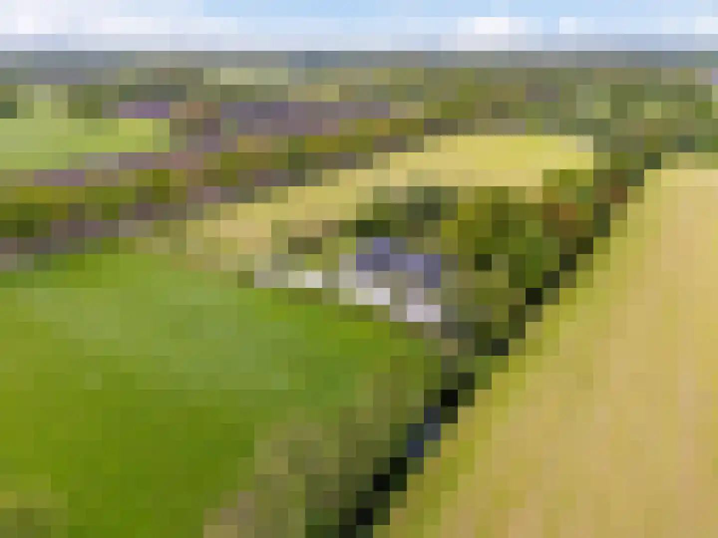 Mandefjild 2 Bakkeveen thumbnail 103