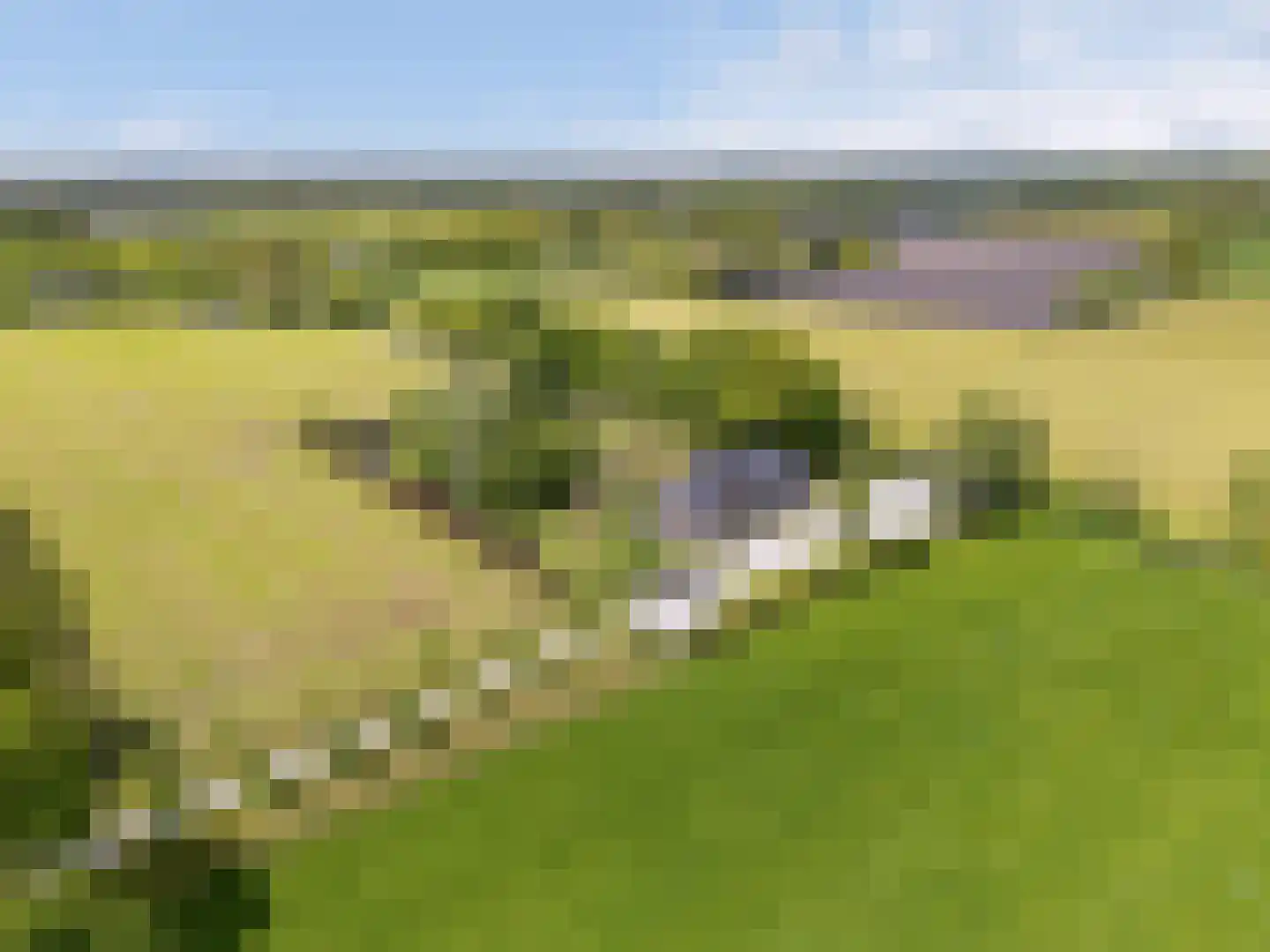 Mandefjild 2 Bakkeveen thumbnail 4