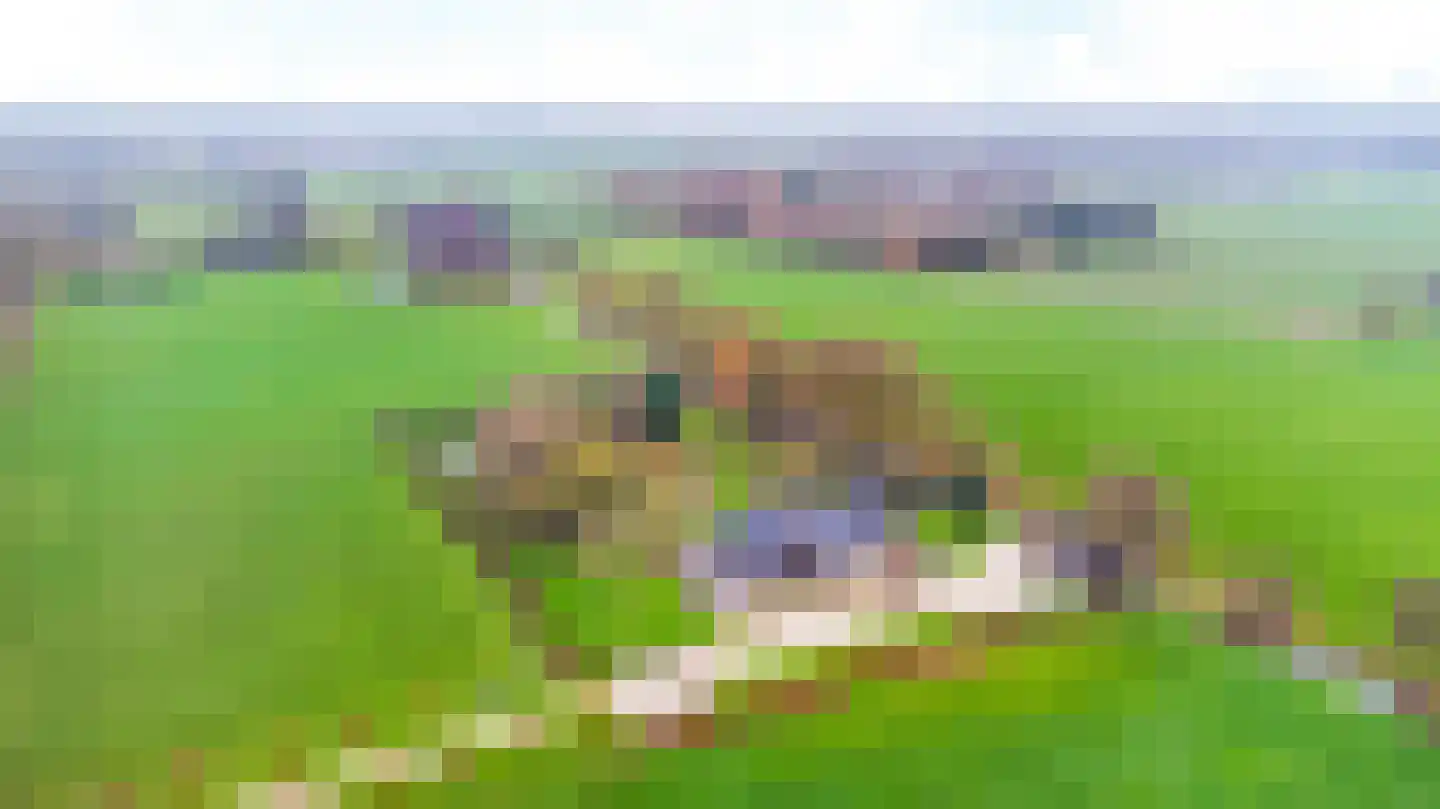 Mandefjild 2 Bakkeveen thumbnail 5