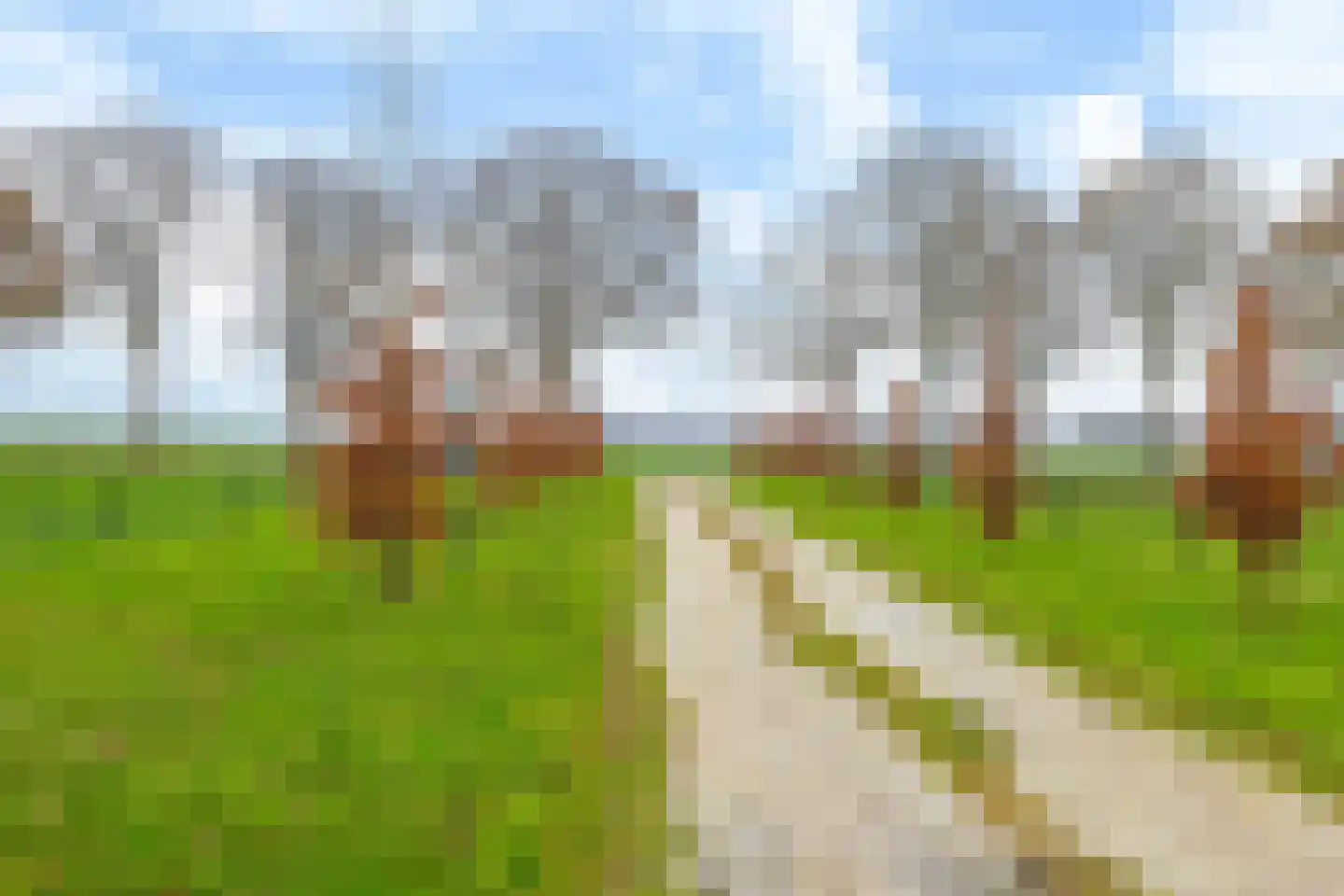 Mandefjild 2 Bakkeveen thumbnail 75