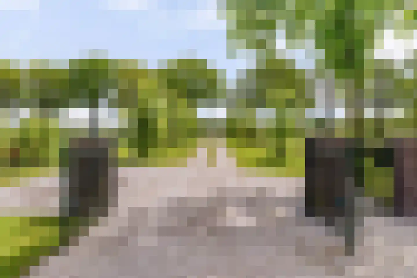 Mandefjild 2 Bakkeveen thumbnail 77