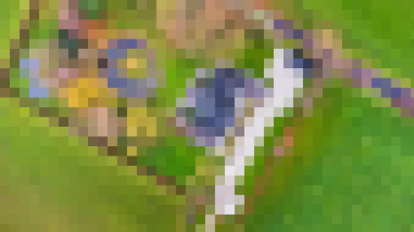 Mandefjild 2 Bakkeveen thumbnail 82