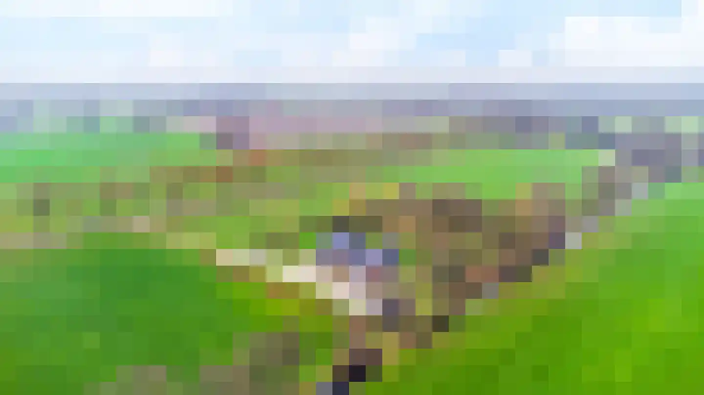 Mandefjild 2 Bakkeveen thumbnail 83