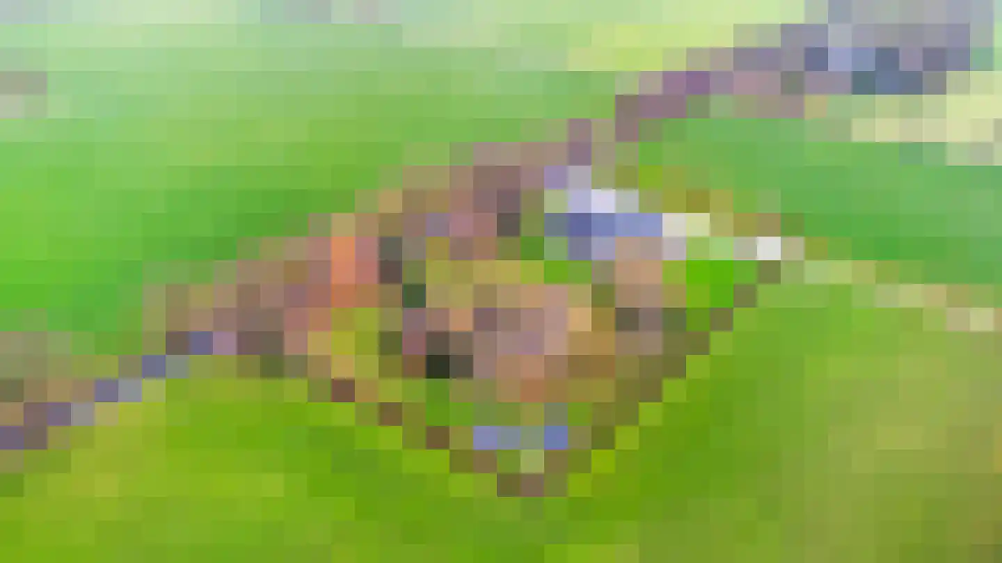 Mandefjild 2 Bakkeveen thumbnail 84
