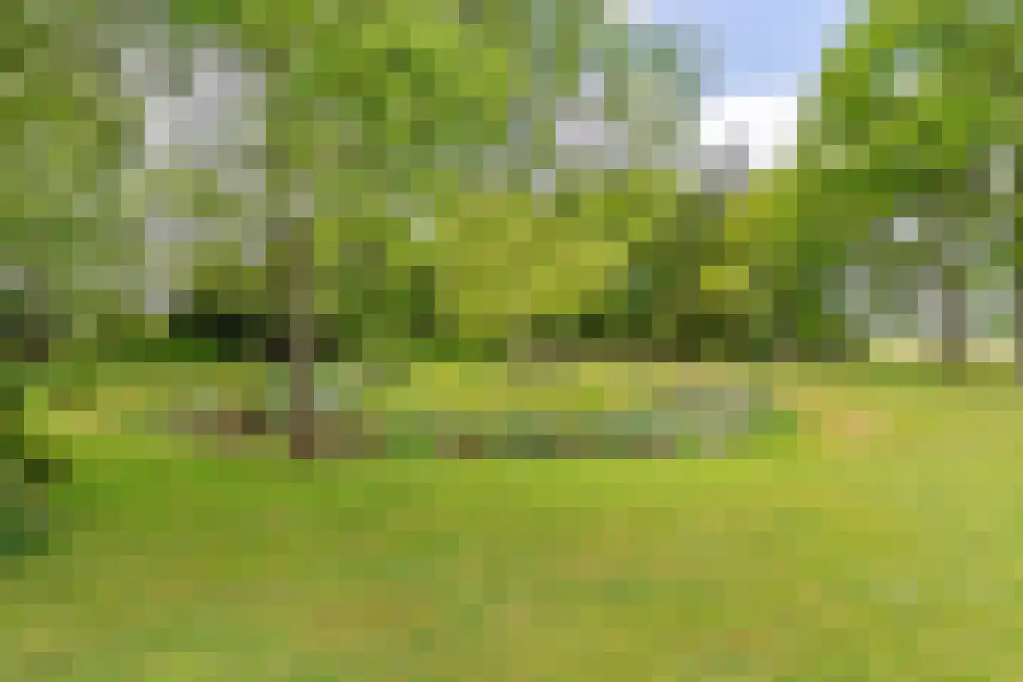 Mandefjild 2 Bakkeveen thumbnail 87