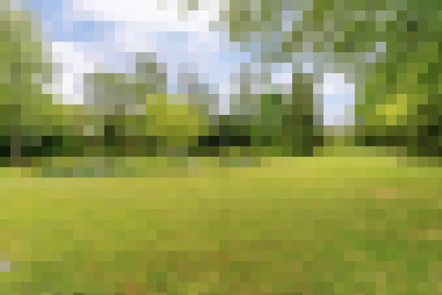 Mandefjild 2 Bakkeveen thumbnail 88