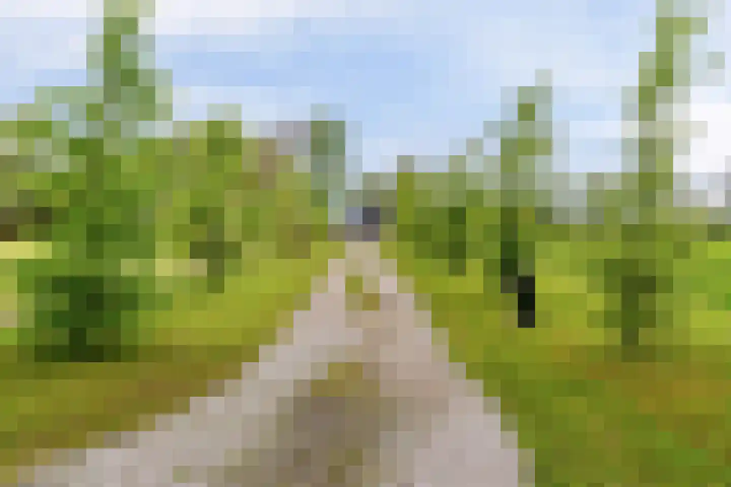 Mandefjild 2 Bakkeveen thumbnail 9