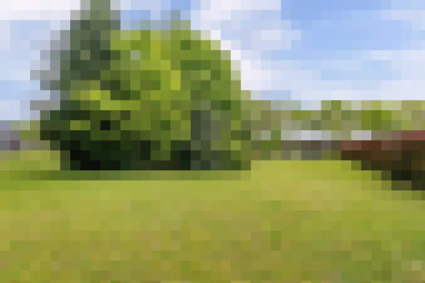 Mandefjild 2 Bakkeveen thumbnail 90