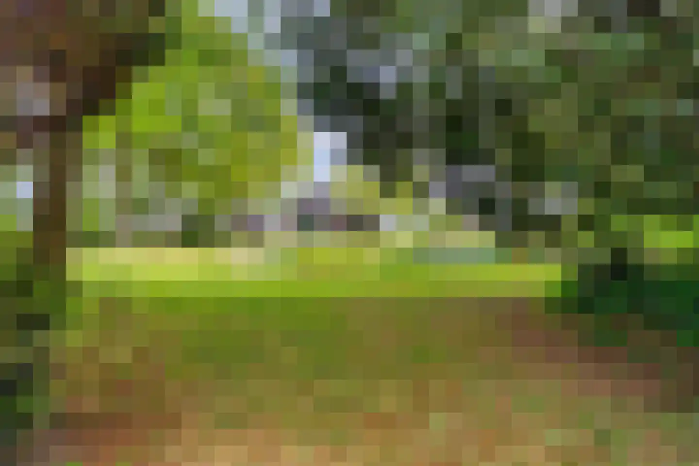 Mandefjild 2 Bakkeveen thumbnail 91
