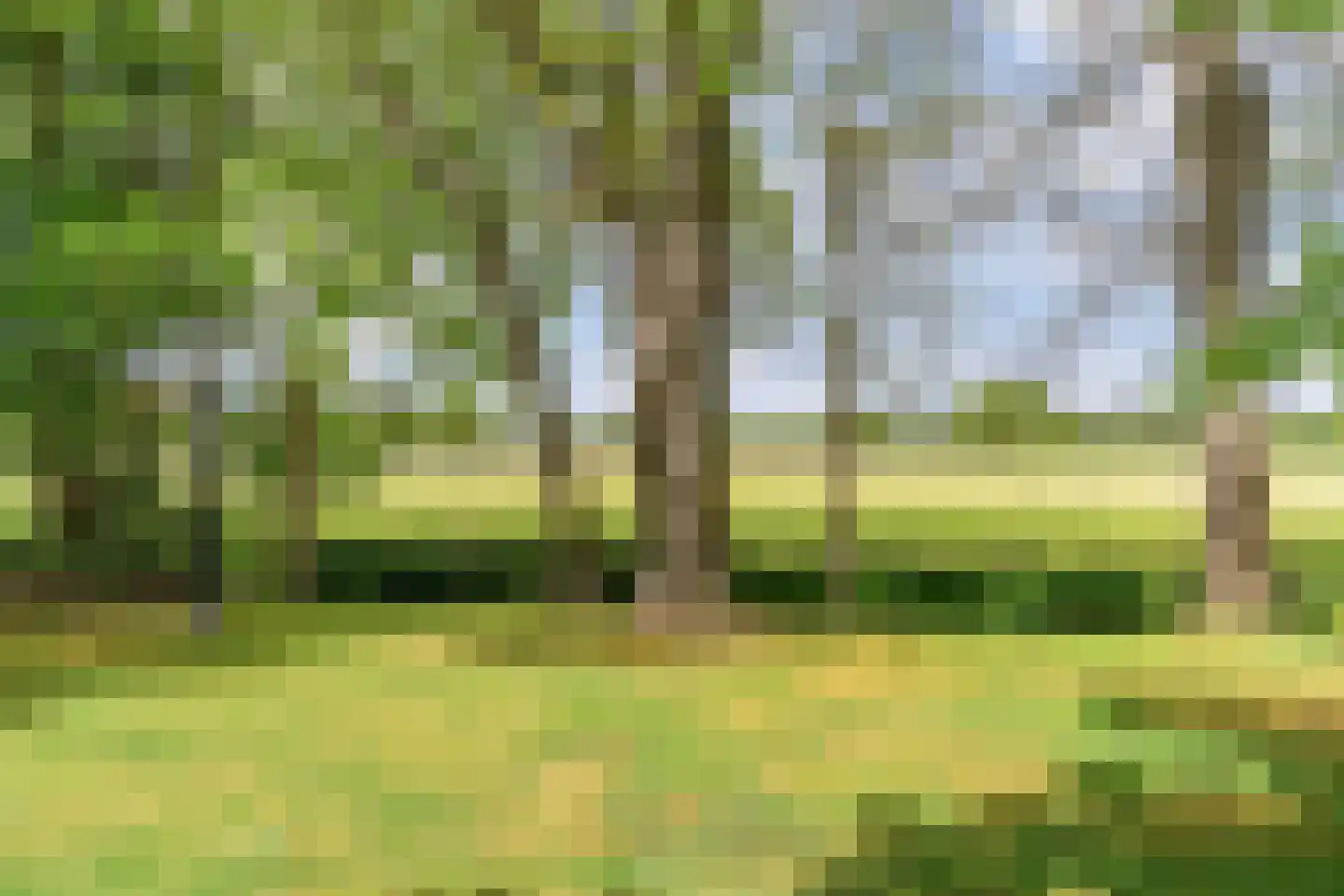 Mandefjild 2 Bakkeveen thumbnail 94