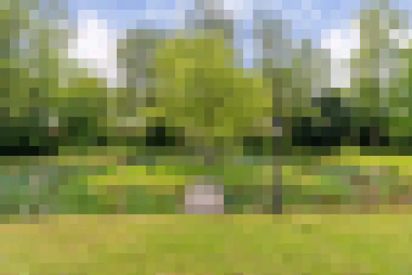 Mandefjild 2 Bakkeveen thumbnail 95