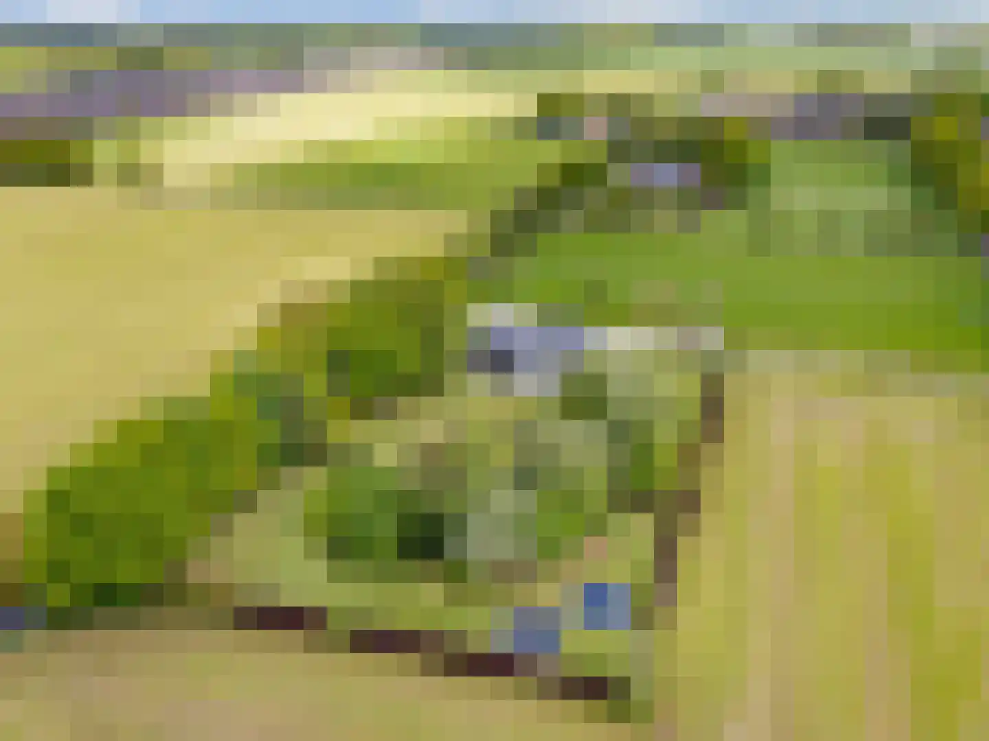 Mandefjild 2 Bakkeveen thumbnail 99