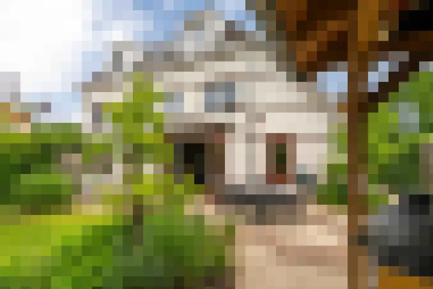 Mandelalaan 3 Amersfoort thumbnail 4