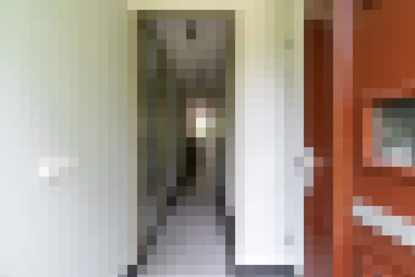 Mandelalaan 3 Amersfoort thumbnail 8