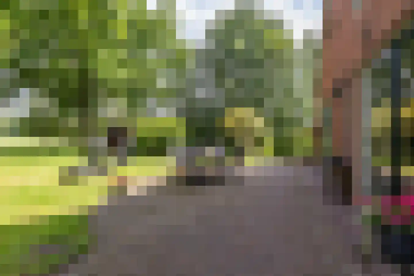 Mandelandenweg 8 Eelde thumbnail 38
