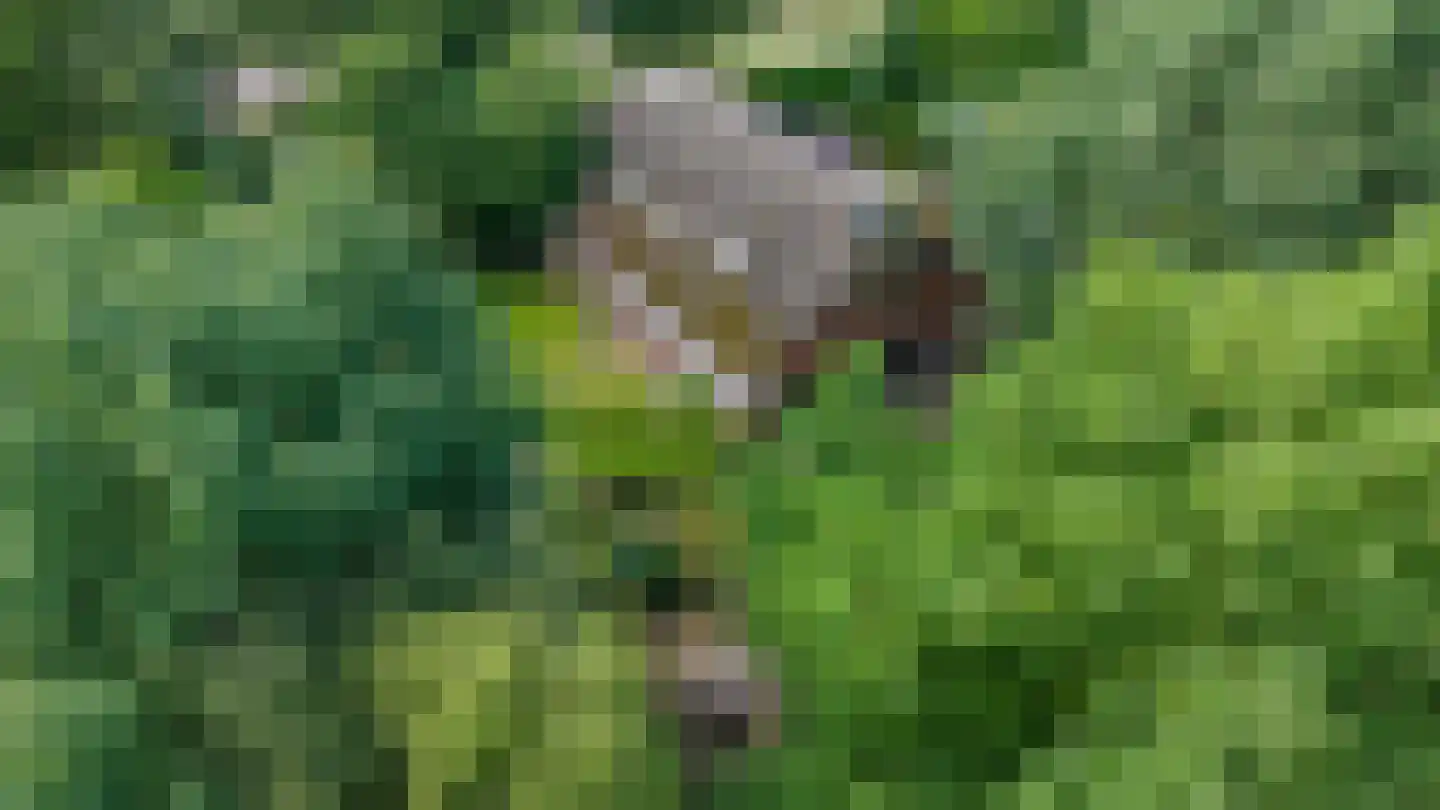 Mandelandenweg 8 Eelde thumbnail 4