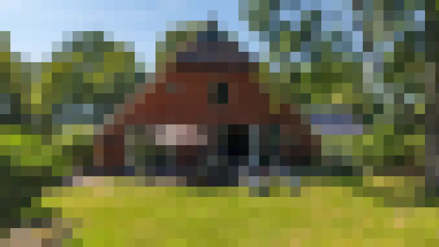 Mandelandenweg 8 Eelde thumbnail 40