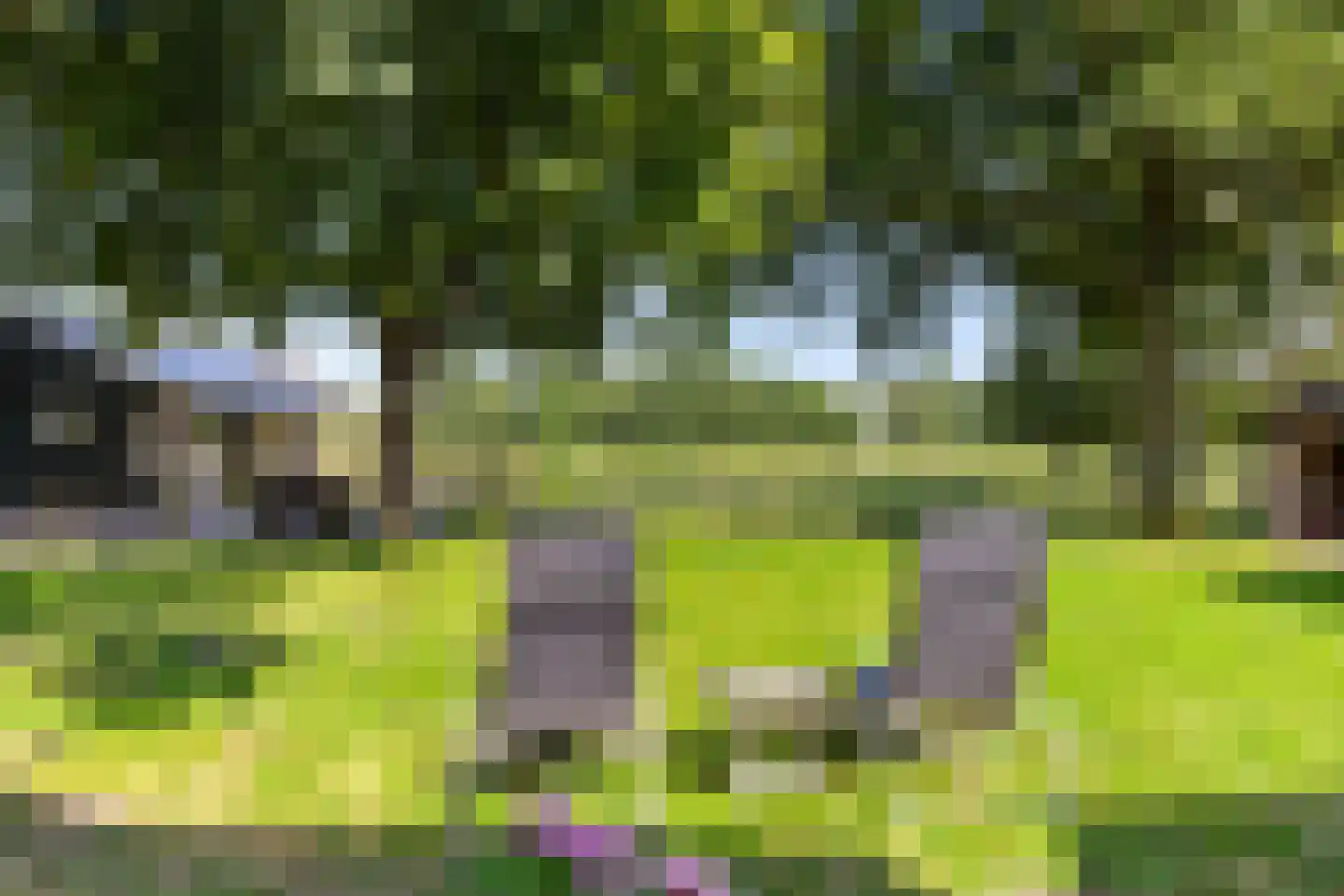 Mandelandenweg 8 Eelde thumbnail 41