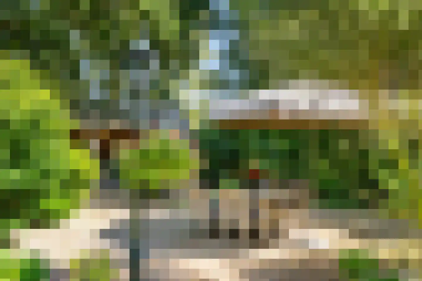 Mandelandenweg 8 Eelde thumbnail 43