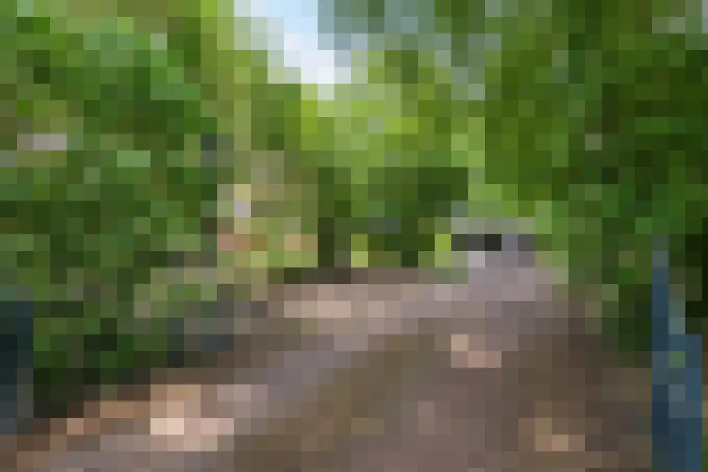 Mandelandenweg 8 Eelde thumbnail 43