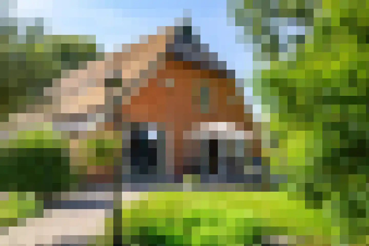 Mandelandenweg 8 Eelde thumbnail 45