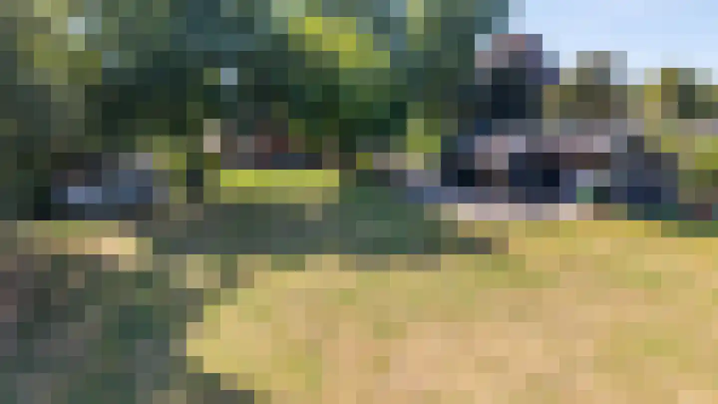Mandelandenweg 8 Eelde thumbnail 47