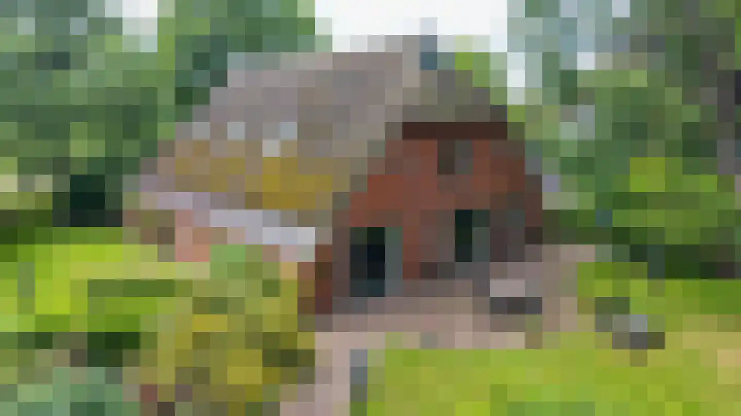 Mandelandenweg 8 Eelde thumbnail 52